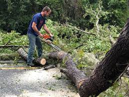 Best Emergency Tree Removal  in Chesterfield, MO