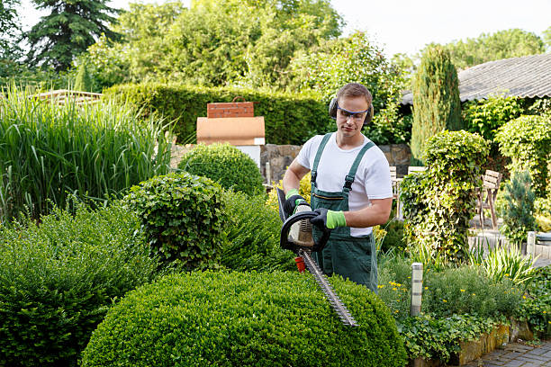 Best Lawn Grading and Leveling  in Chesterfield, MO